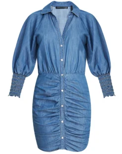 Veronica Beard Allie Chambray Shirtdress Clothing