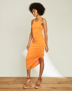 Veronica Beard Haylee Dress New Arrivals