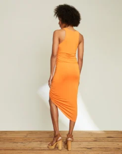 Veronica Beard Haylee Dress New Arrivals